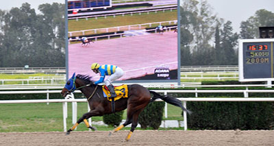 2010 - TJK Adana Hipodromu